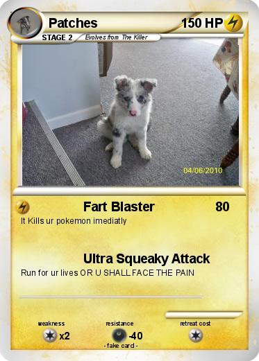Pokemon Patches
