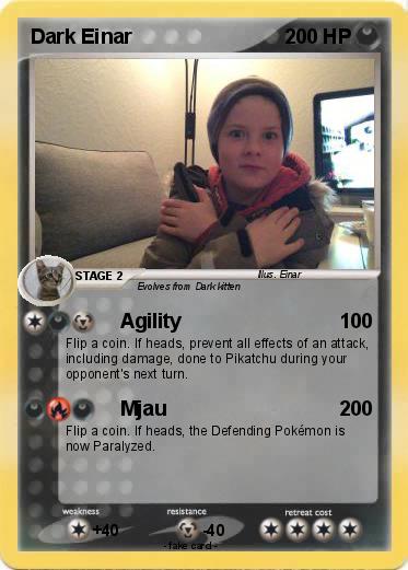 Pokemon Dark Einar