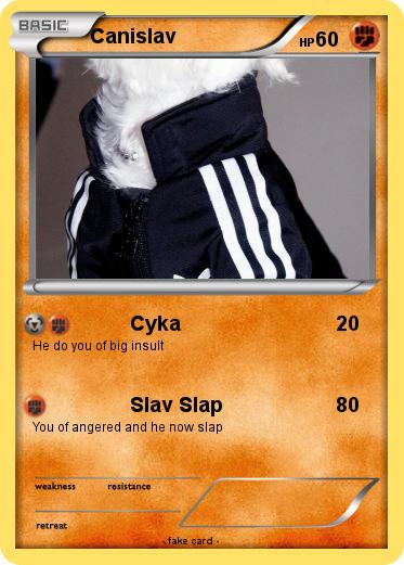 Pokemon Canislav
