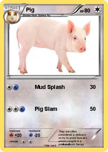 Pokemon Pig