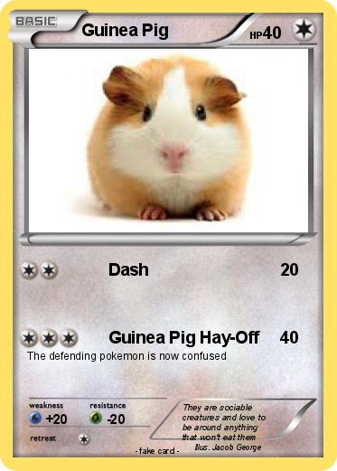 Pokemon Guinea Pig