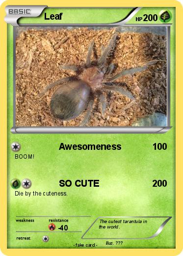 Pokemon Leaf