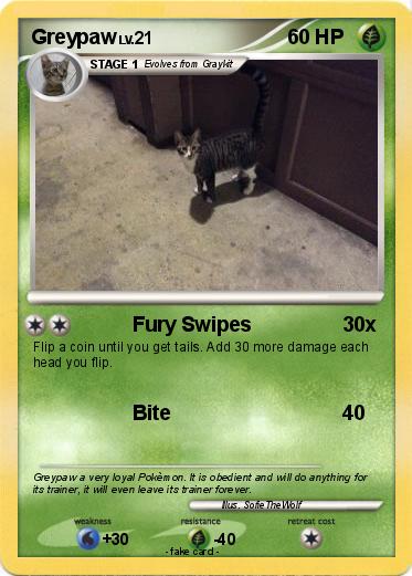 Pokemon Greypaw