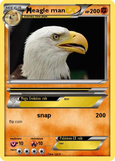 Pokemon eagle man