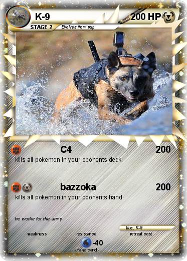 Pokemon K-9