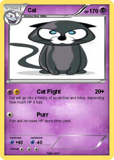 Pokemon Cat
