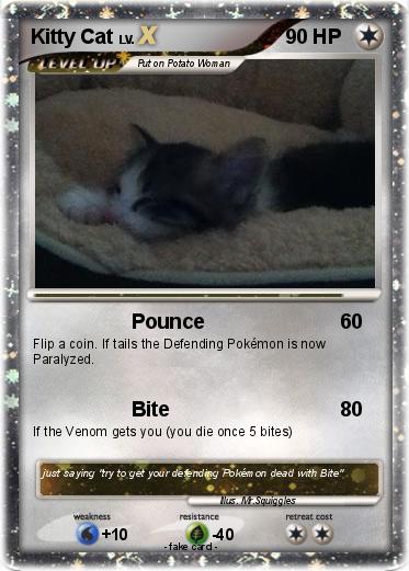 Pokemon Kitty Cat