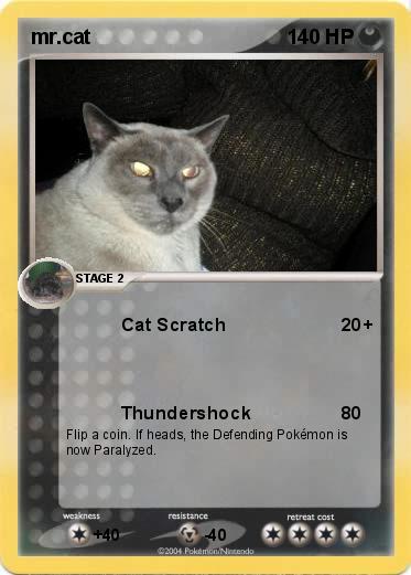 Pokemon mr.cat