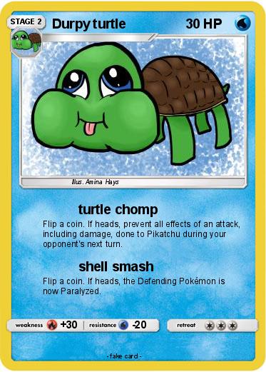 Pokemon Durpy turtle