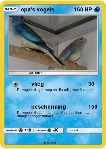 Pokemon opa's vogels