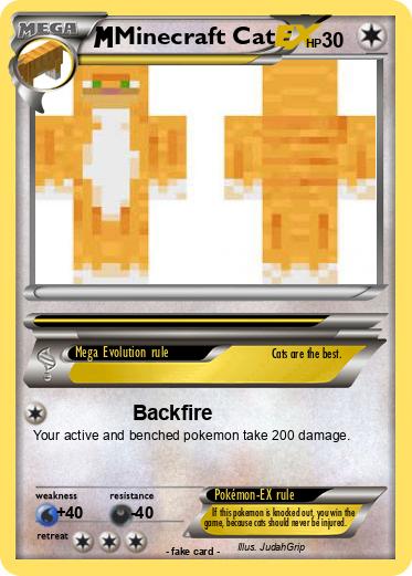 Pokemon Minecraft Cat