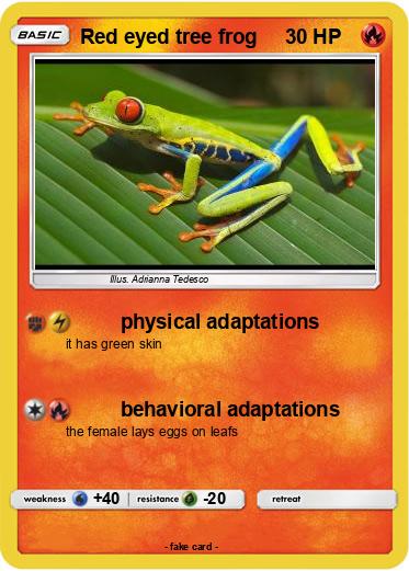 Pokemon Red eyed tree frog