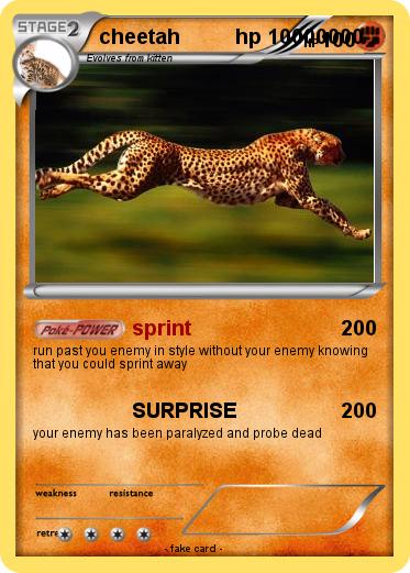 Pokemon cheetah          hp 10000000