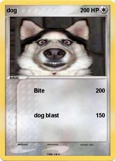 Pokemon dog