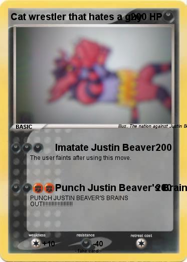 Pokemon Cat wrestler that hates a guy