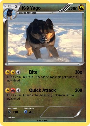Pokemon K-9 Yago