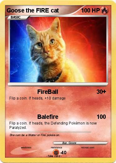 Pokemon Goose the FIRE cat