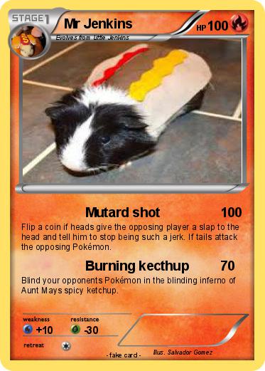 Pokemon Mr Jenkins