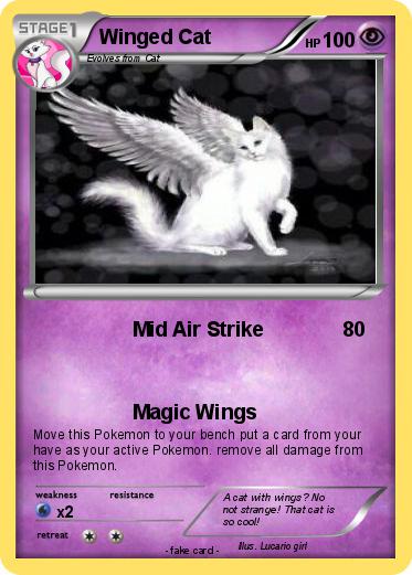Pokemon Winged Cat