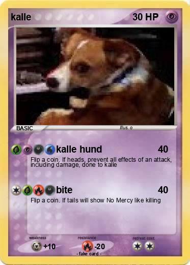 Pokemon kalle