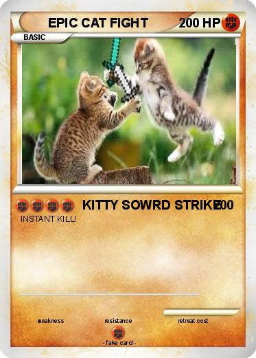 Pokemon EPIC CAT FIGHT