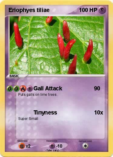 Pokemon Eriophyes tiliae