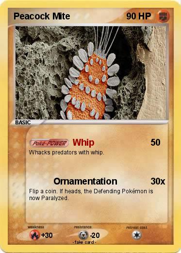 Pokemon Peacock Mite