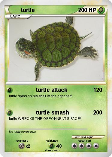 Pokemon turtle