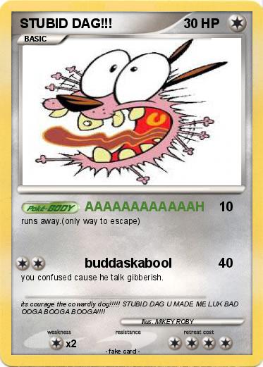 Pokemon STUBID DAG!!!