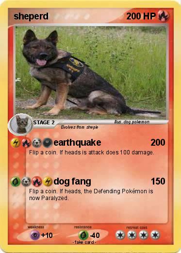 Pokemon sheperd