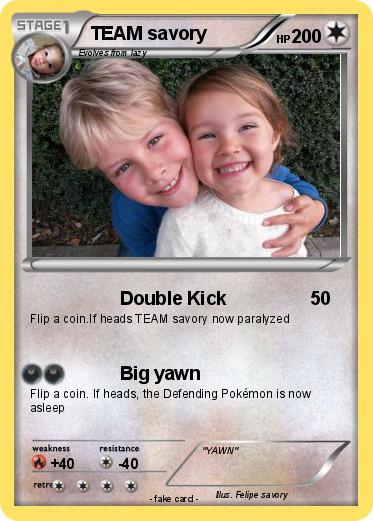 Pokemon TEAM savory