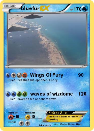 Pokemon bluefur