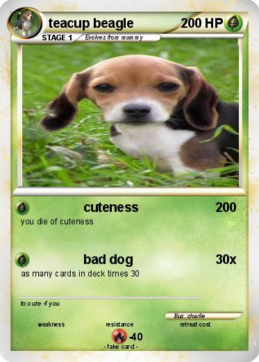 Pokemon teacup beagle