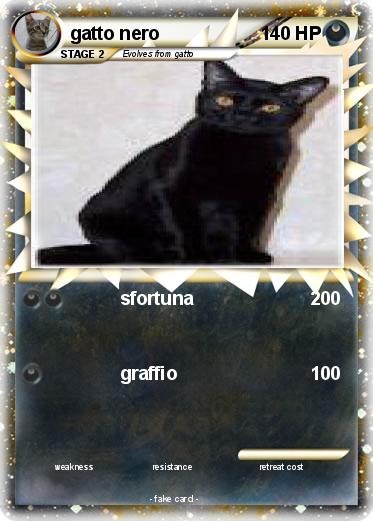 Pokemon gatto nero