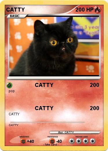 Pokemon CATTY