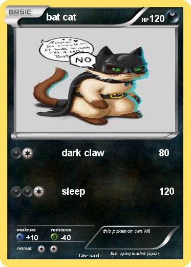 Pokemon bat cat