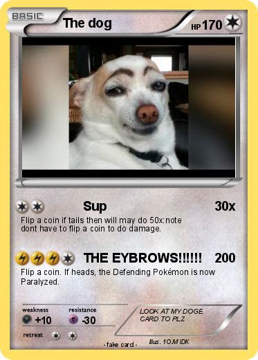 Pokemon The dog