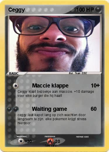 Pokemon Ceggy