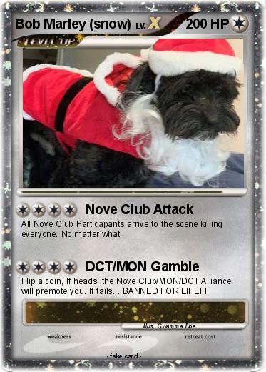 Pokemon Bob Marley (snow)