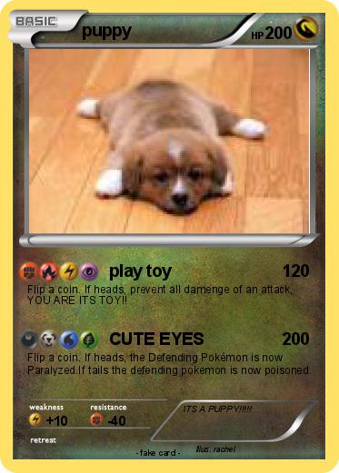 Pokemon puppy