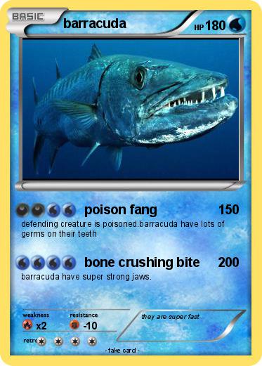 Pokemon barracuda