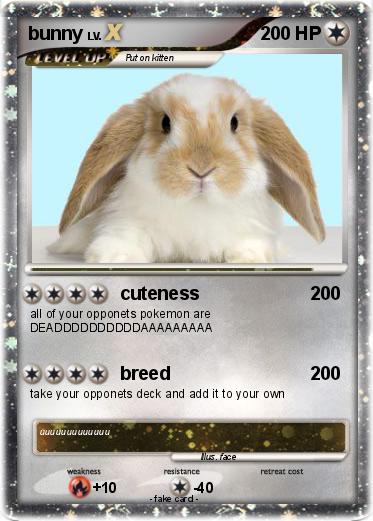 Pokemon bunny