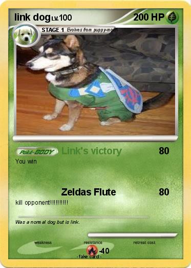 Pokemon link dog
