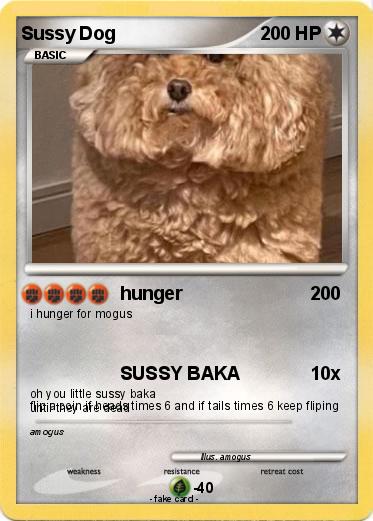 Pokemon Sussy Dog