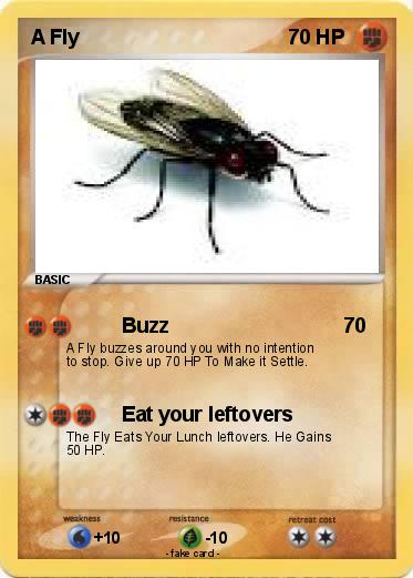 Pokemon A Fly
