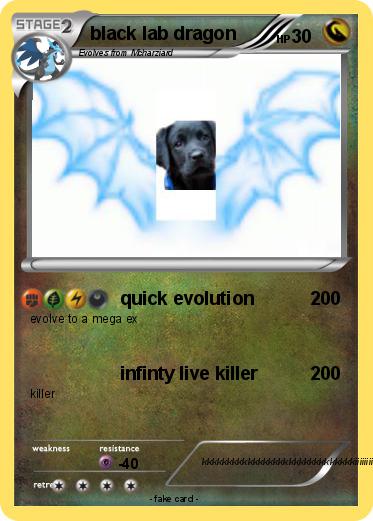 Pokemon black lab dragon