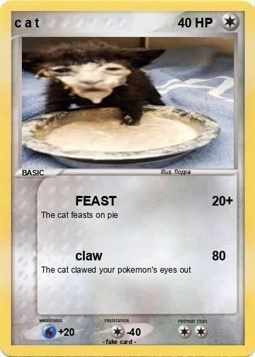 Pokemon c a t