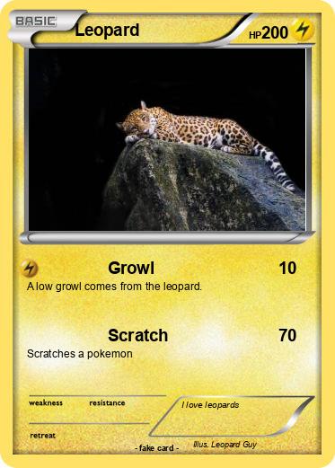 Pokemon Leopard