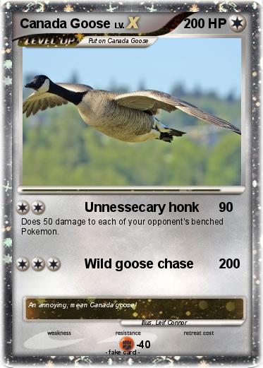 Pokemon Canada Goose