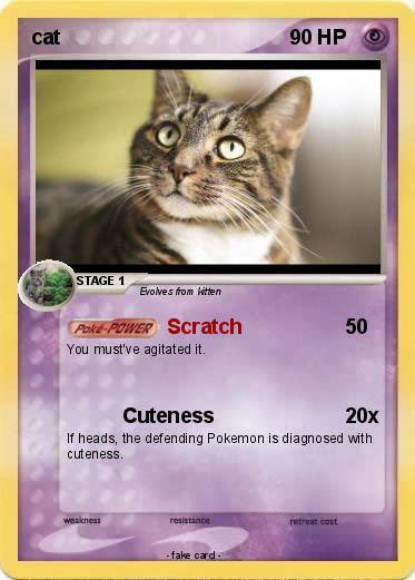 Pokemon cat